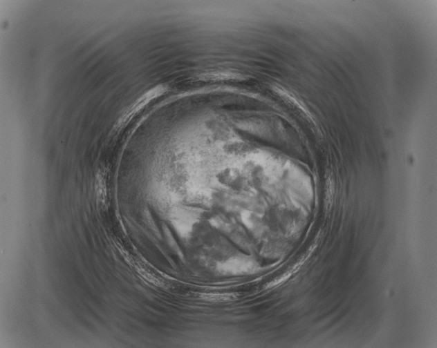 X0000085751305200703301352