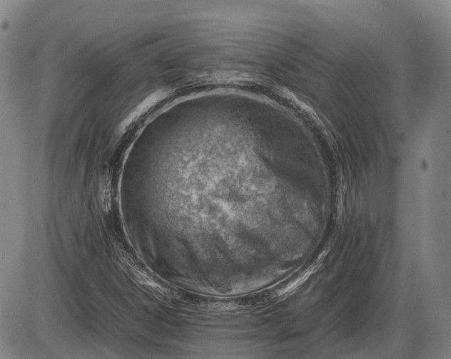 X0000085751306200703301352