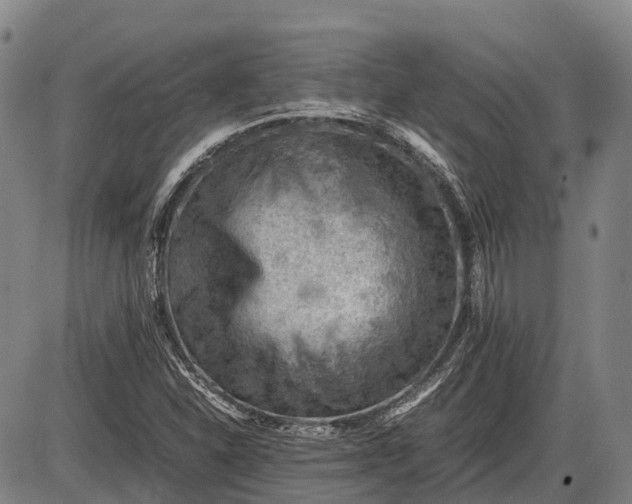 X0000085751310200703301352