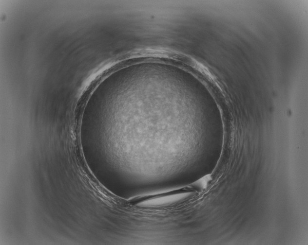 X0000085751312200703301352