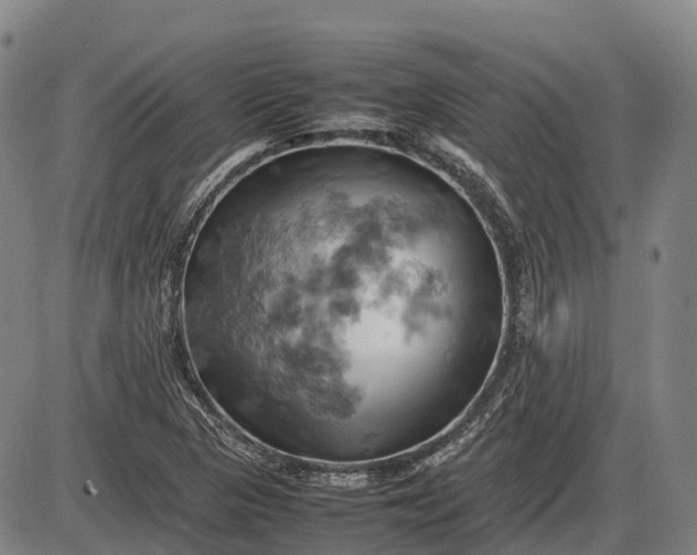 X0000085751313200703301352