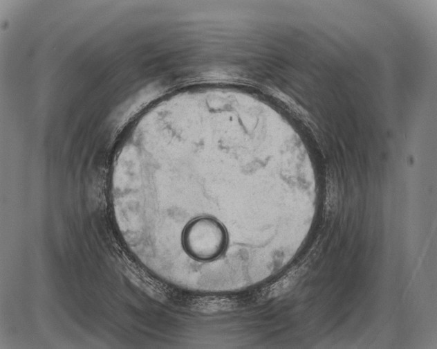 X0000085751314200703301352