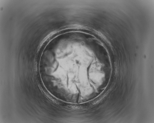 X0000085751318200703301352