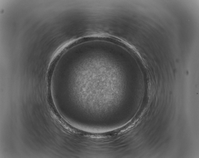 X0000085751319200703301352