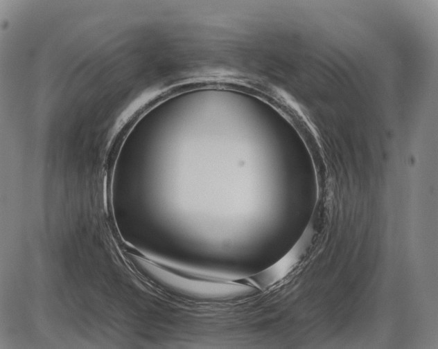 X0000085751320200703301352