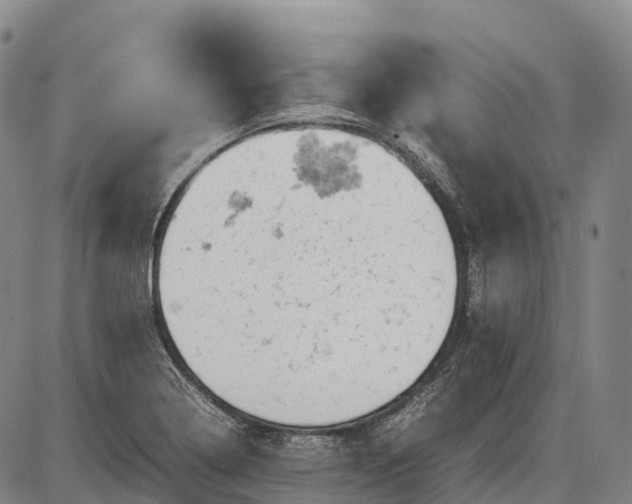 X0000085751322200703301352