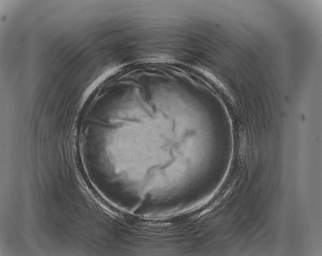 X0000085751325200703301352