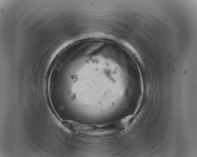 X0000085751326200703301352