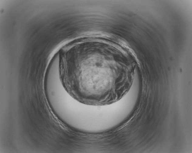 X0000085751328200703301352