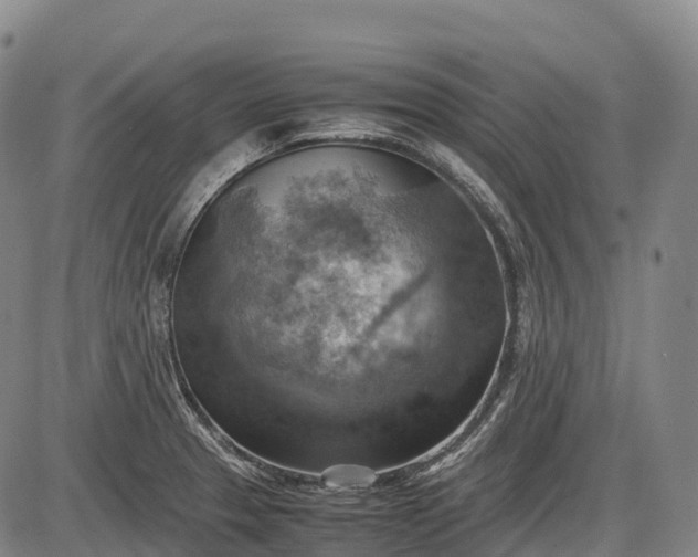 X0000085751329200703301352