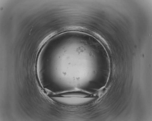 X0000085751330200703301352