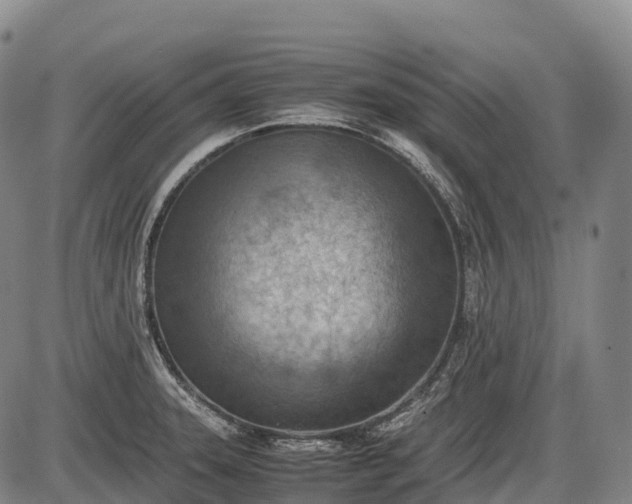 X0000085751331200703301352