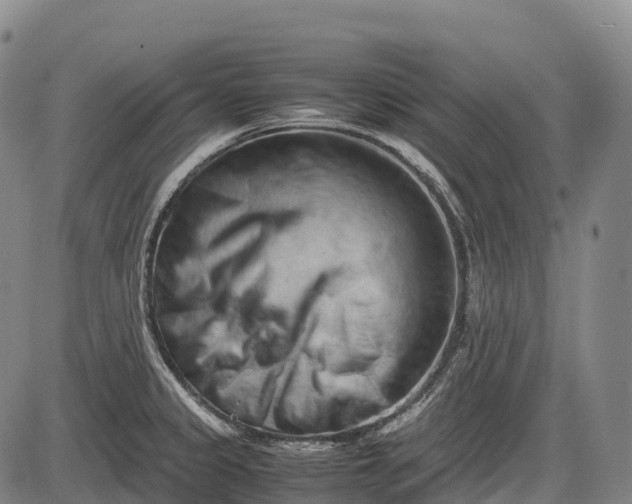 X0000085751333200703301352