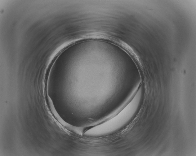 X0000085751334200703301352