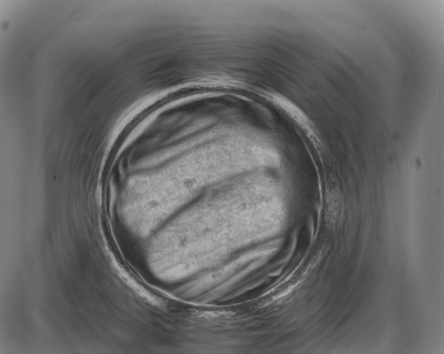 X0000085751335200703301352