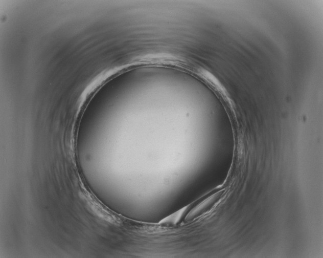 X0000085751336200703301352