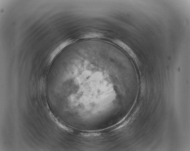 X0000085751337200703301352