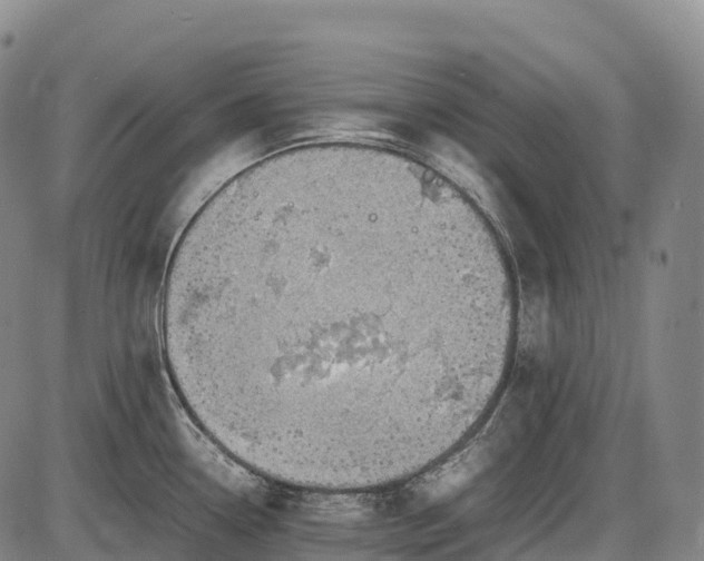 X0000085751338200703301352