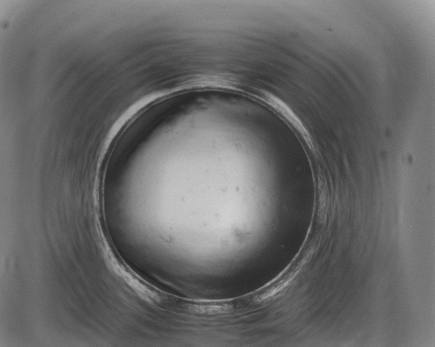 X0000085751339200703301352