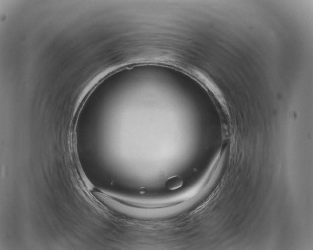 X0000085751340200703301352