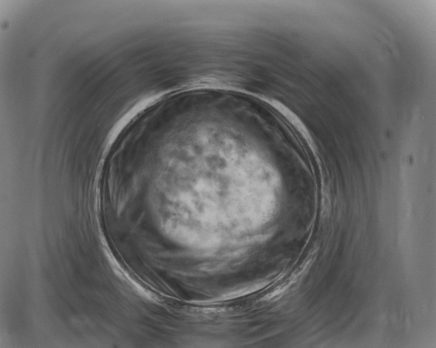 X0000085751341200703301352