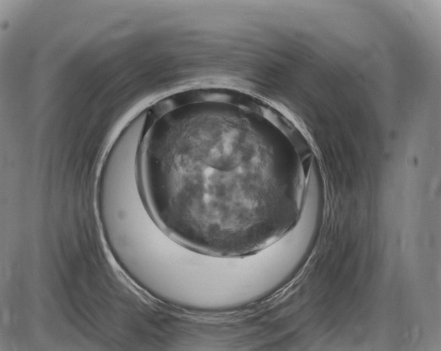 X0000085751342200703301352