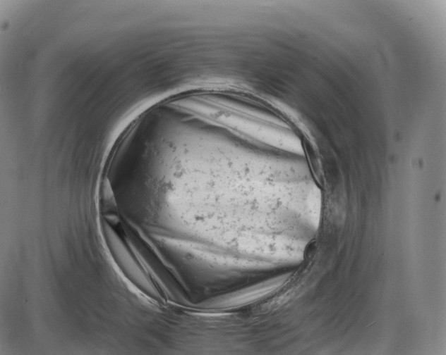 X0000085751343200703301352