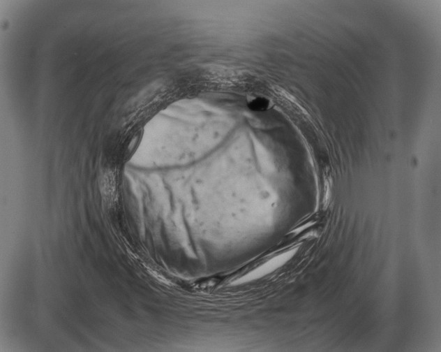 X0000085751347200703301351