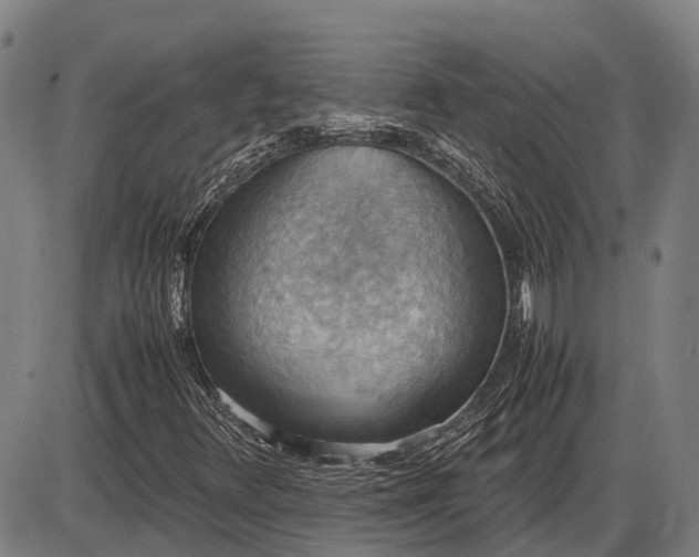 X0000085751348200703301351