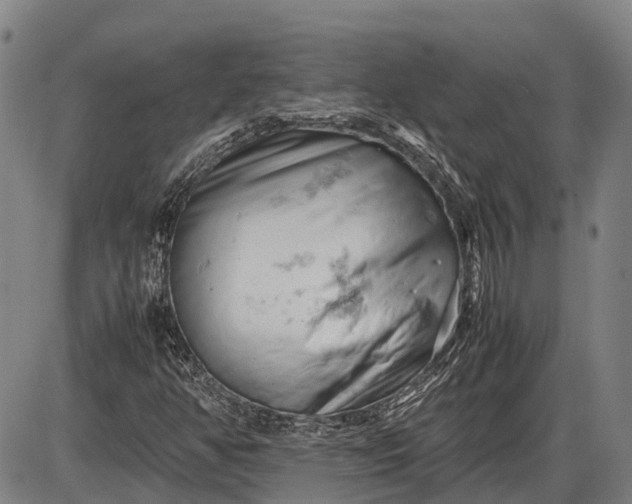 X0000085751350200703301351