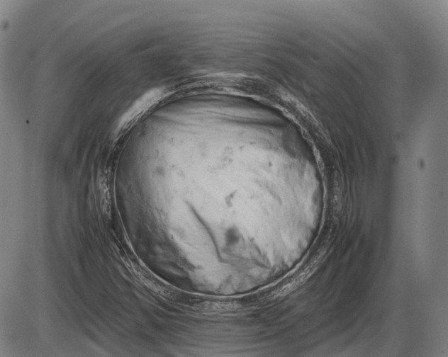 X0000085751354200703301351