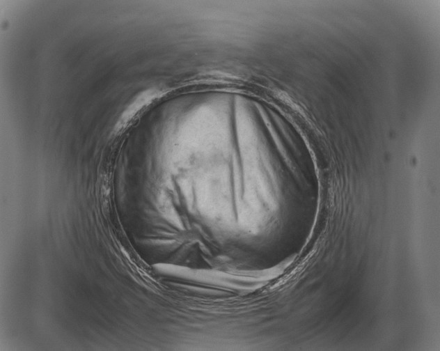 X0000085751355200703301351