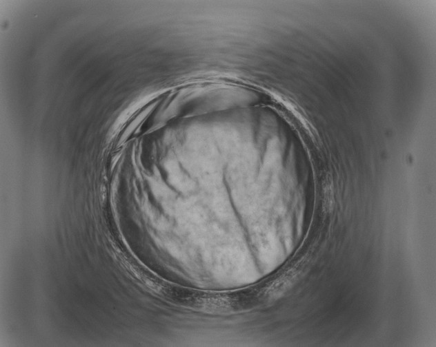 X0000085751363200703301351