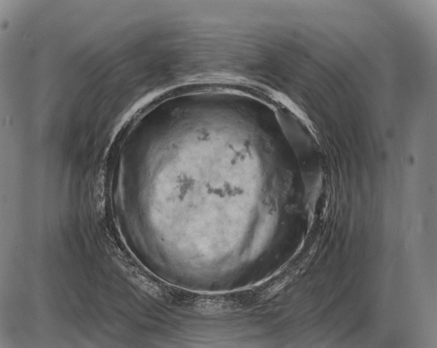 X0000085751364200703301351