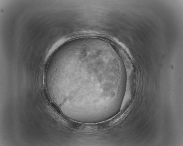 X0000085751365200703301351