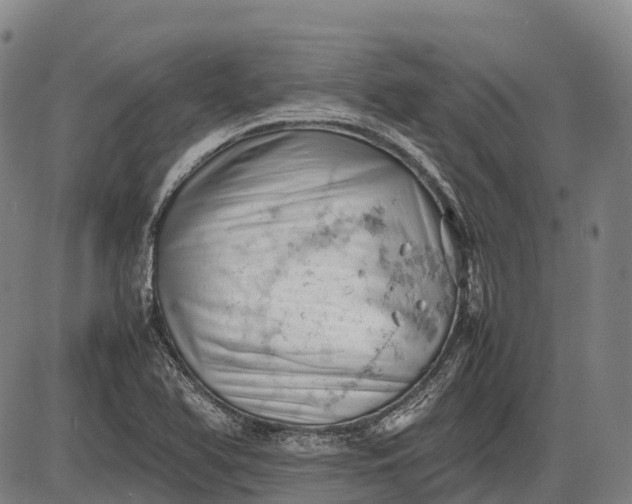 X0000085751366200703301351