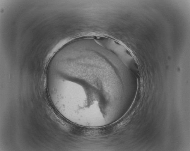 X0000085751367200703301351