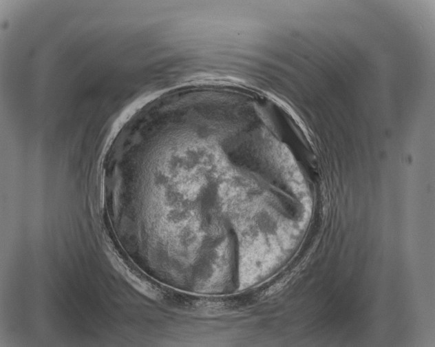 X0000085751371200703301351