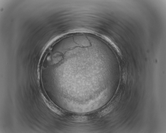 X0000085751372200703301351