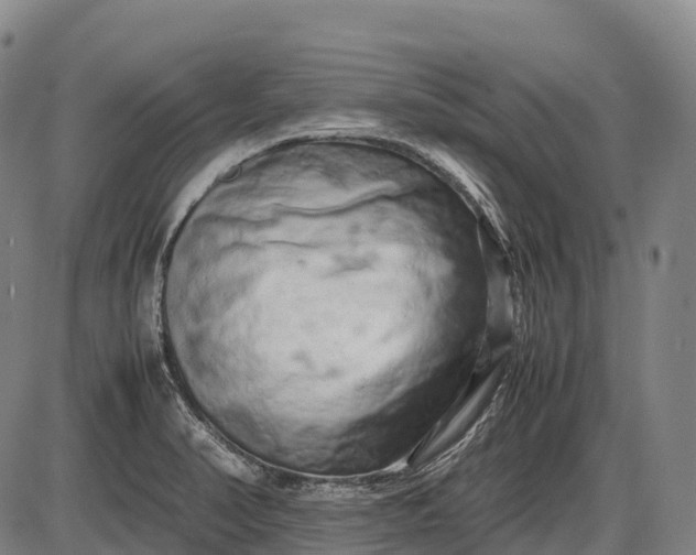 X0000085751374200703301351