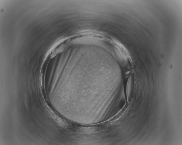 X0000085751376200703301351