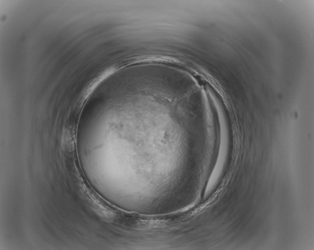 X0000085751377200703301351