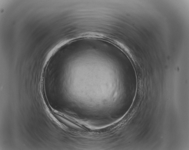 X0000085751379200703301351