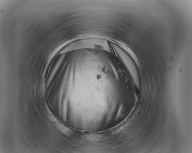 X0000085751380200703301351