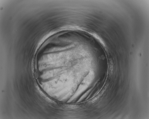 X0000085751382200703301351