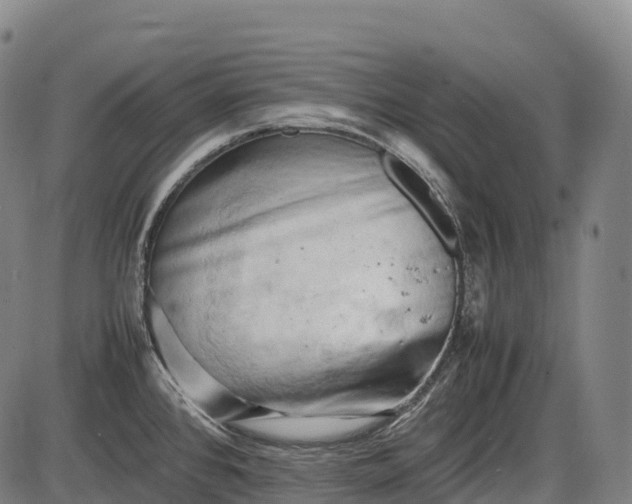 X0000085751384200703301351