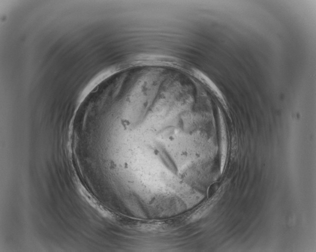 X0000085751386200703301351