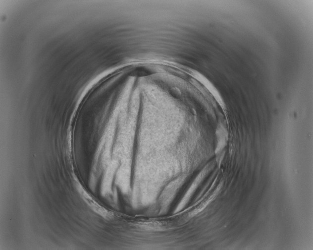 X0000085751388200703301351