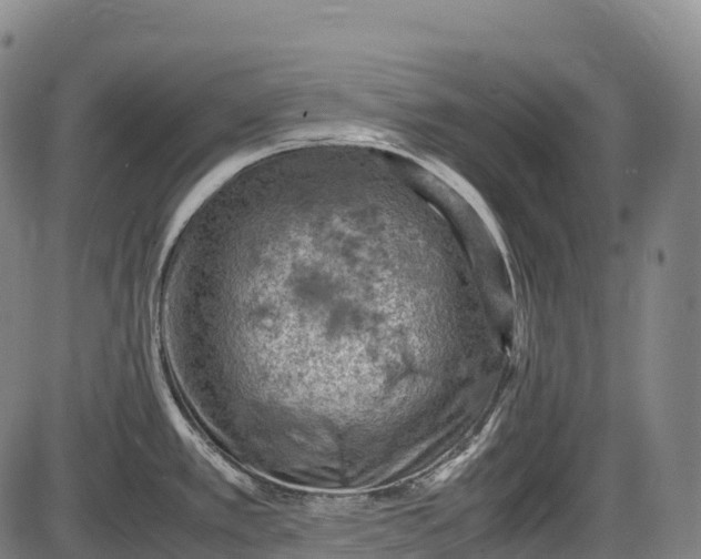 X0000085751389200703301351