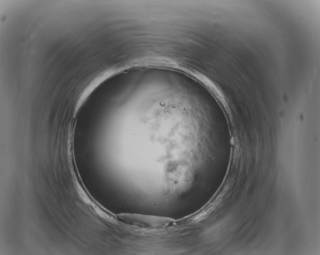 X0000085751390200703301351